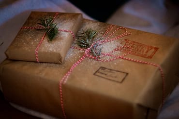Ultimate Holiday Gift Guide on What to Buy Vegans