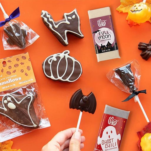Best Vegan Halloween Candy (2020) 3 Theo Halloween Article Photo