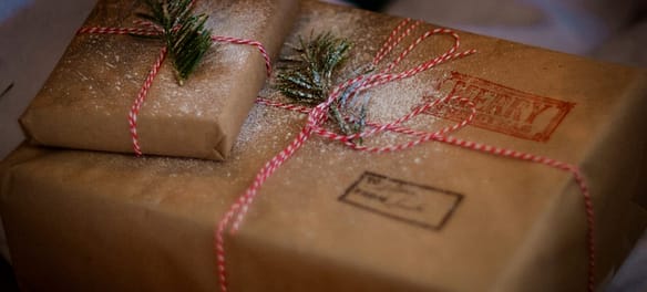 Ultimate Holiday Gift Guide on What to Buy Vegans