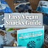 Photo of vegancuts snack box with writing that says Easy Vegan Snacks Guide