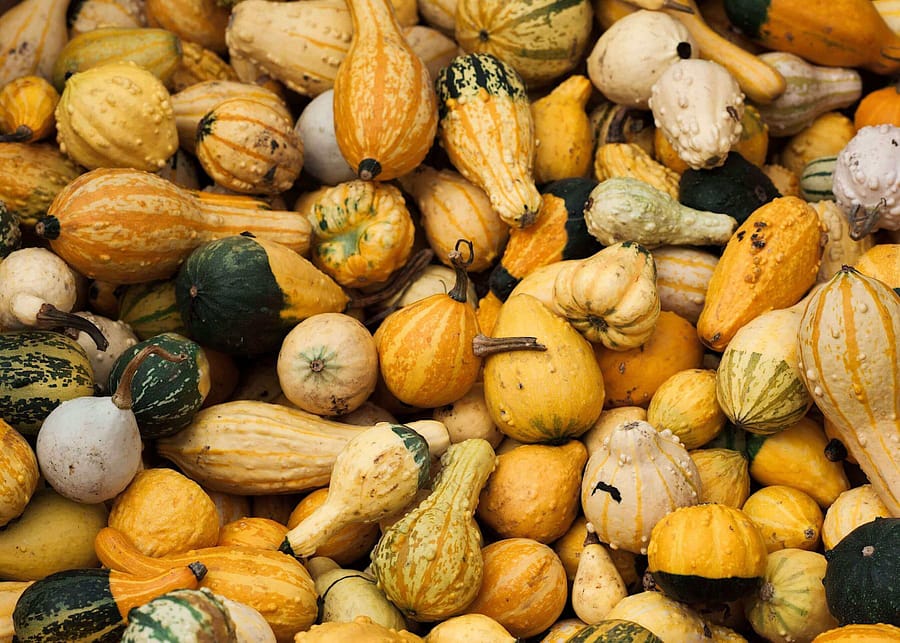 Best Vegan Thanksgiving Dinner Recipes 2 Autumn Squash Soup