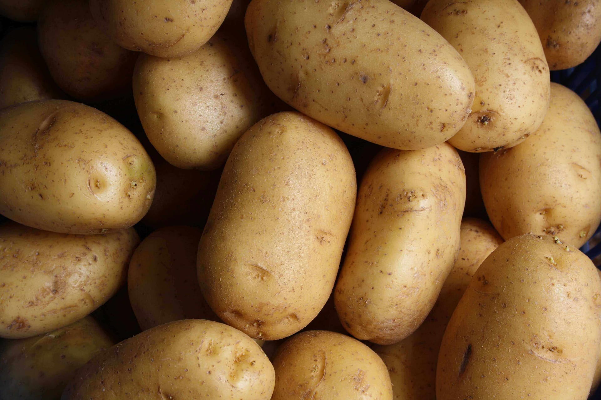 Mashed Potatoes Recipe Photo