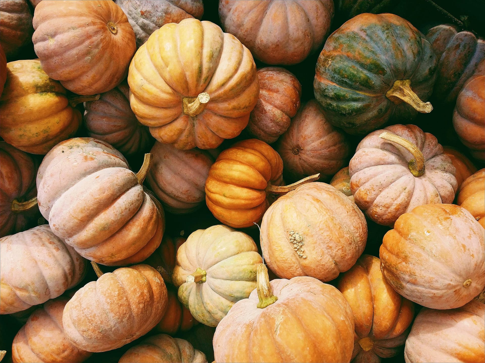 Pumpkins in a Pile - Vegan Thanksgiving Recipes