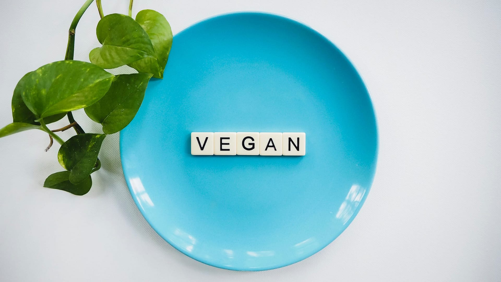 vegan essentials