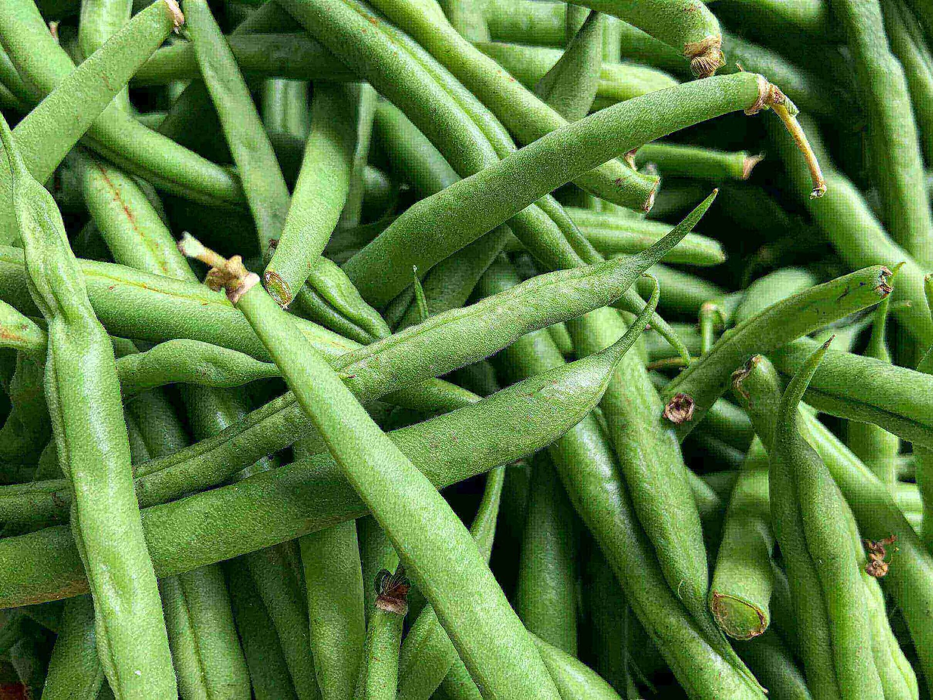 Best Vegan Thanksgiving Dinner Recipes 16 Green Beans